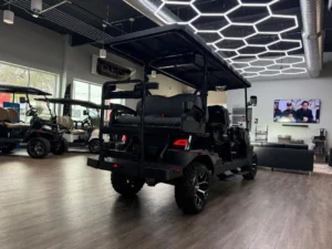 025 Denago EV Rover XL6 6 Passenger Golf Cart for Sale (11)