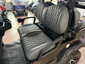 025 Denago EV Rover XL6 6 Passenger Golf Cart for Sale (7)
