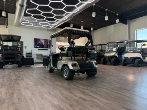 2006 E Z GO TXT Battery Electric 2 Passenger Golf Cart for Sale (Tan) (5)