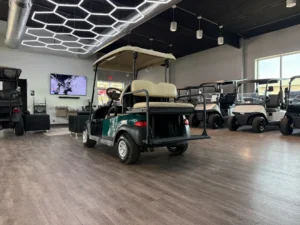 2015 Club Car Precedent 4 Passenger Electric Golf Cart for Sale (10)