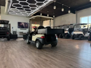 2016 Club Car Precedent Gasoline Golf Cart for Sale (10)