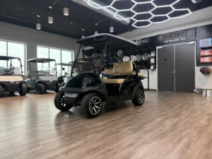2017 Club Car Precedent Battery Electric Golf Cart for Sale (12)