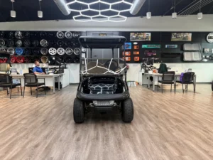 2017 Club Car Precedent Battery Electric Golf Cart for Sale (13)