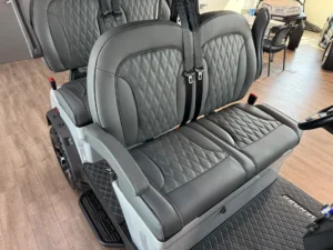 2025 Denago EV Rover XL 4 Passenger Golf Cart for Sale (3)