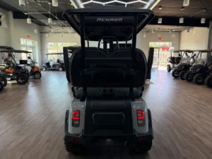 2025 Denago EV Rover XL 4 Passenger Golf Cart for Sale (7)