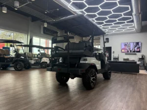 2026 Denago EV Nomad XL 4 Passenger Golf Cart for Sale (10)