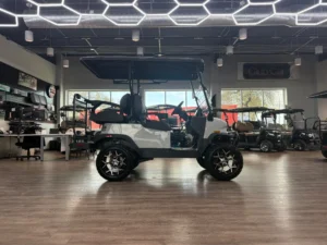 2026 Denago EV Nomad XL 4 Passenger Golf Cart for Sale (9)