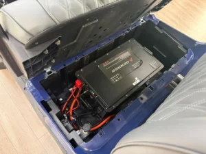 2026 Denago EV Nomad XL 4 Passenger Golf Cart for Sale (Blue) (2)