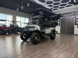 2026 Denago EV Nomad XL 4 Passenger Golf Cart for Sale (Grey) (13)