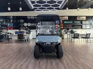 2026 E Z GO RXV 2 Freedom Elite Golf Cart for Sale (12)