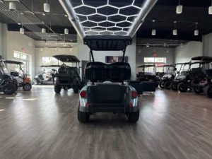 2026 E Z GO RXV 2 Freedom Elite Golf Cart for Sale (8)
