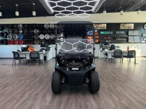 2026 E Z GO RXV 2 Freedom Elite Golf Cart for Sale (Black) (14)