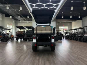 2026 E Z GO RXV 4 Summit X Golf Cart for Sale (9)