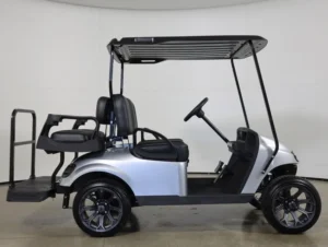 2018 E Z GO TXT Gas 4 Passenger Golf Cart for Sale(Platinum Silver) (4)