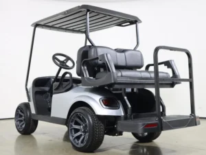 2018 E Z GO TXT Gas 4 Passenger Golf Cart for Sale(Platinum Silver) (8)