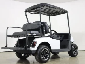2020 E Z GO RXV ELiTE Lithium 4 Passenger Golf Cart for Sale(Bright White) (5)