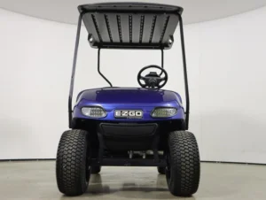 2021 E Z GO Valor EFI Gas 2 Passenger Golf Cart for Sale(Electric Blue) (2)