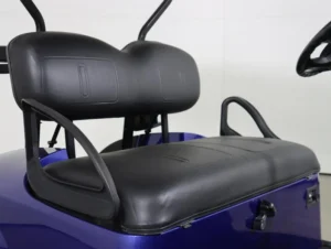 2021 E Z GO Valor EFI Gas 2 Passenger Golf Cart for Sale(Electric Blue) (3)