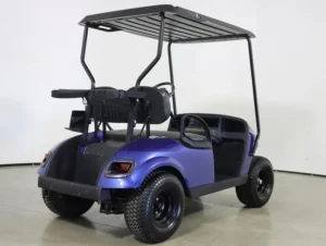 2021 E Z GO Valor EFI Gas 2 Passenger Golf Cart for Sale(Electric Blue) (5)