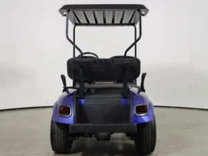 2021 E Z GO Valor EFI Gas 2 Passenger Golf Cart for Sale(Electric Blue) (7)