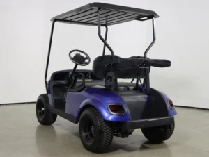 2021 E Z GO Valor EFI Gas 2 Passenger Golf Cart for Sale(Electric Blue) (8)