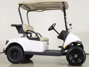2024 E Z GO Valor 48V 2 Passenger Electric Golf Cart for Sale(Bright White) (5)