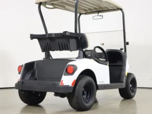 2024 E Z GO Valor 48V 2 Passenger Electric Golf Cart for Sale(Bright White) (6)