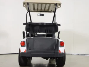 2024 E Z GO Valor 48V 2 Passenger Electric Golf Cart for Sale(Bright White) (8)