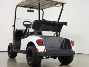 2024 E Z GO Valor 48V 2 Passenger Electric Golf Cart for Sale(Bright White) (9)