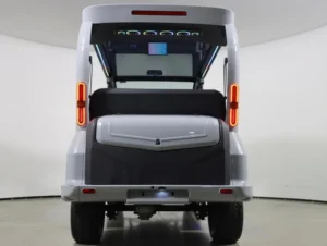 2025 Denago EV City Lithium 4 Passenger Golf Cart for Sale(Gray) (17)