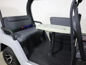 2025 Denago EV City Lithium 4 Passenger Golf Cart for Sale(Gray) (3)