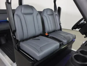 2025 Denago EV City Lithium 4 Passenger Golf Cart for Sale(Gray) (6)