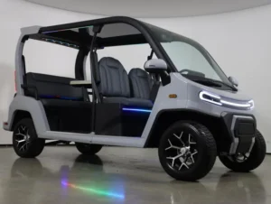 2025 Denago EV City Lithium 4 Passenger Golf Cart for Sale(Gray) (7)