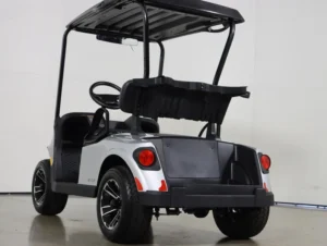 2025 E Z GO Valor 48V 2 Passenger Electric Golf Cart for Sale(Platinum) (3)