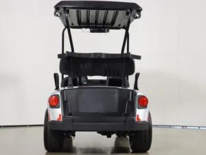 2025 E Z GO Valor 48V 2 Passenger Electric Golf Cart for Sale(Platinum) (4)