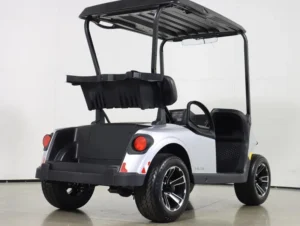 2025 E Z GO Valor 48V 2 Passenger Electric Golf Cart for Sale(Platinum) (5)