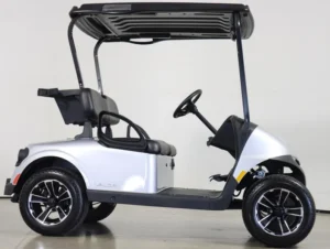 2025 E Z GO Valor 48V 2 Passenger Electric Golf Cart for Sale(Platinum) (6)