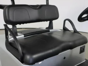 2025 E Z GO Valor 48V 2 Passenger Electric Golf Cart for Sale(Platinum) (8)