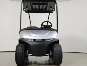 2025 E Z GO Valor 48V 2 Passenger Electric Golf Cart for Sale(Platinum) (9)