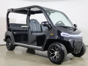 2026 Denago EV City Lithium 4 Passenger Golf Cart for Sale(Black) (3)