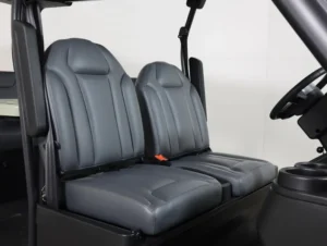 2026 Denago EV City Lithium 4 Passenger Golf Cart for Sale(Black) (4)
