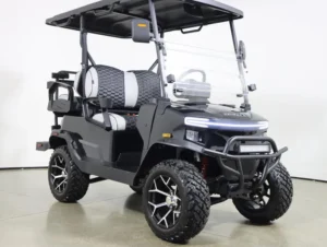 2026 Denago EV Nomad XL Lithium 4 Passenger Golf Cart for Sale( Black) (3)