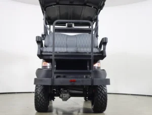 2026 Denago EV Nomad XL Lithium 4 Passenger Golf Cart for Sale(Black) (6)