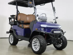 2026 Denago EV Nomad XL Lithium 4 Passenger Golf Cart for Sale(Blue) (3)