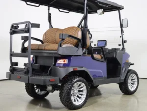2026 Denago EV Nomad XL Lithium 4 Passenger Golf Cart for Sale(Blue) (6)