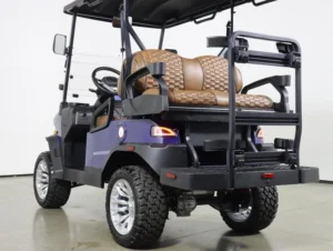 2026 Denago EV Nomad XL Lithium 4 Passenger Golf Cart for Sale(Blue) (8)