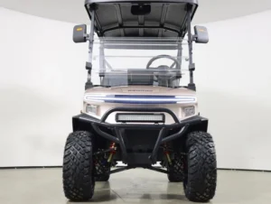 2026 Denago EV Nomad XL Lithium 4 Passenger Golf Cart for Sale(Champagne) (2)