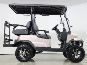 2026 Denago EV Nomad XL Lithium 4 Passenger Golf Cart for Sale(Champagne) (4)