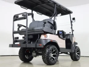 2026 Denago EV Nomad XL Lithium 4 Passenger Golf Cart for Sale(Champagne) (5)