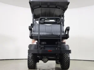2026 Denago EV Nomad XL Lithium 4 Passenger Golf Cart for Sale(Champagne) (6)